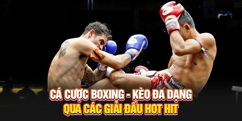 Cá Cược Boxing thu hút sự chú ý của đông đảo người yêu thích thể thao nhờ vào tính kịch tính và những trận đấu căng thẳng. Các giải đấu Boxing lớn chính là cơ hội để những người yêu thích cá cược có thể đặt niềm tin vào những kèo cược đa dạng, hấp dẫn.