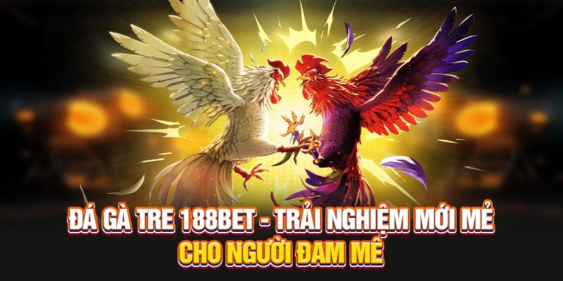 Lô Khuyết Gốc Là Gì? Khám Phá Cách Dự Đoán Đúng Không Sai Lầm