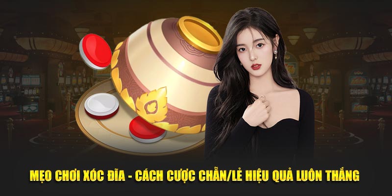 Mẹo Chơi Xóc Đĩa - Chiến Thuật Cược Chẵn/Lẻ Để Thắng Lớn