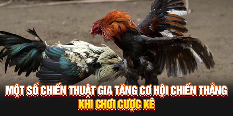 Các chiến thuật này rất hữu ích khi chơi cá cược. Bạn sẽ có thể gia tăng cơ hội chiến thắng hơn khi chơi theo cảm tính và giữ lợi nhuận luôn ở mức cao nhất.