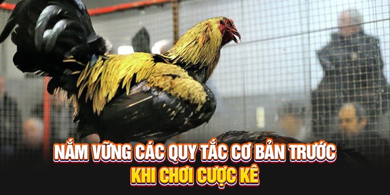 Mỗi trận đấu có thời gian thi đấu tối thiểu để tạo sự kịch tính. Thông thường, thời gian của một trận đấu sẽ kéo dài từ 15 đến 20 phút tùy vào từng tình huống và sự phát triển của trận đấu. Trong một số trường hợp đặc biệt, thời gian này có thể được điều chỉnh để tạo bất ngờ và hấp dẫn hơn.