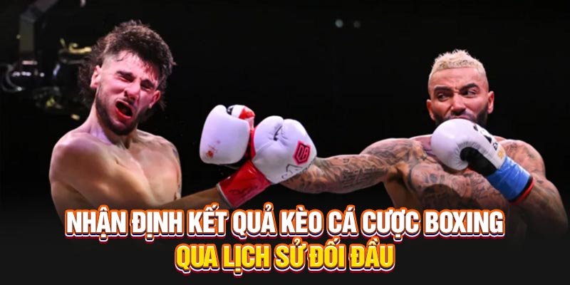 Nhận định kết quả kèo cá cược Boxing qua lịch sử đối đầu