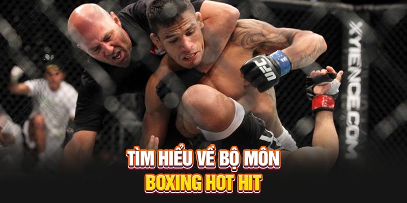 Tìm hiểu về bộ môn Boxing hot hit