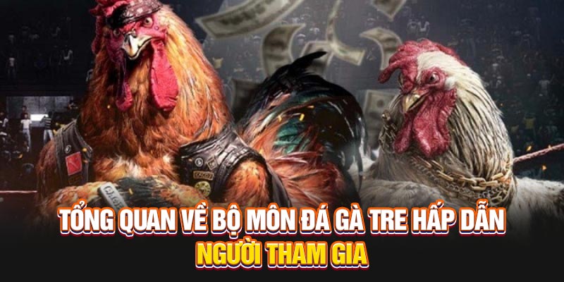 Đây cũng là cơ hội để bạn chứng minh khả năng nhạy bén của mình trong việc lựa chọn chiến thuật và đặt cược hợp lý. Nhà cái cung cấp cho người chơi các trận đấu sống động, nhiều thách thức. Nhu cầu của những người yêu thích sự căng thẳng, những quyết định mang tính chiến lược được đáp ứng.